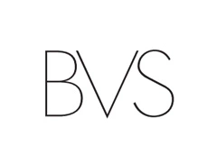 Logo de BVS